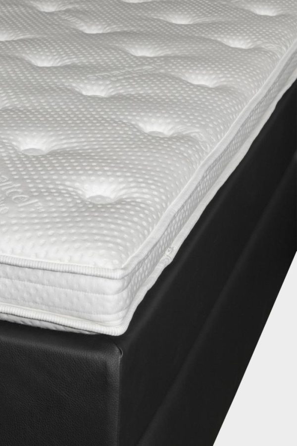 Newpurp.shopa3230e376a 4